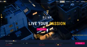 Blink Community Website Design